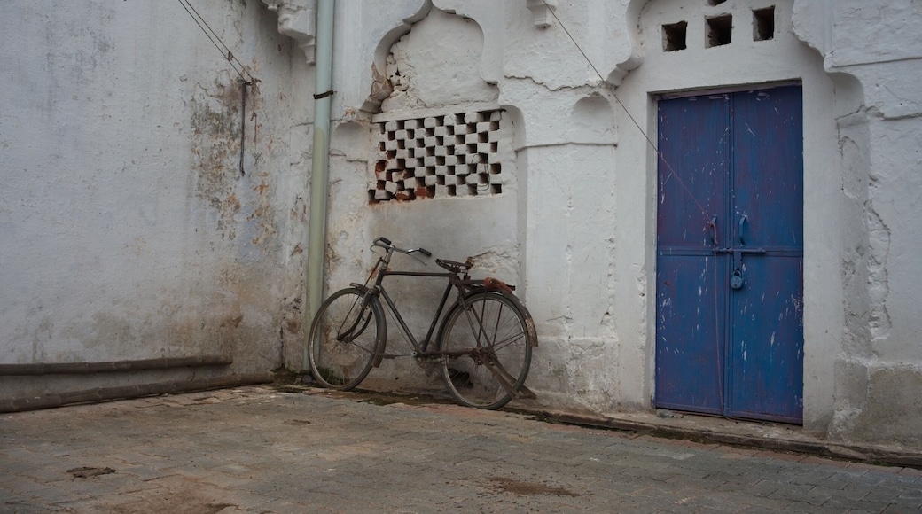 A solitary bicycle stands in a courtyard at Raja Mahal, Orccha.
This little town is a lessor known gem that lies deep in the state of Madhya Pradesh, a 5hr train ride from Delhi.
Orccha has an incredible collection of over 30 ancient temples and meanders down to the Betwa River, a tributary of one of Indias great rivers, 'The Yamuna'
#India #MadhyaPradesh #Orccha