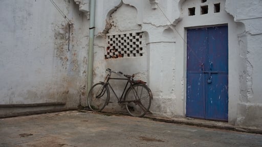 A solitary bicycle stands in a courtyard at Raja Mahal, Orccha.
This little town is a lessor known gem that lies deep in the state of Madhya Pradesh, a 5hr train ride from Delhi.
Orccha has an incredible collection of over 30 ancient temples and meanders down to the Betwa River, a tributary of one of Indias great rivers, 'The Yamuna'
#India #MadhyaPradesh #Orccha