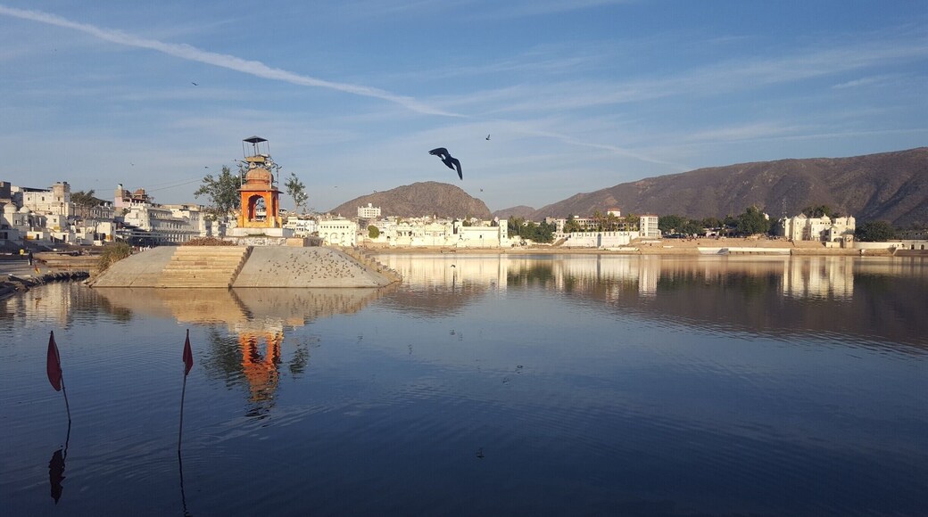 The sleepy pilgrimage town of Pushkar curls around this holy lake where they say God Brahma dropped a lotus flower. With 52 bathing ghats, the mystical town comes alive in the evening with holy prayers, chants and hymns. This place is also remembered for its famous Camel fair where thousands of the camels converge for the annual festival.
Read More:
https://driftingvoyage.com/tag/pushkar/
#troveron #pushkar #spiritual #incredibleindia #asia #india #rajasthan