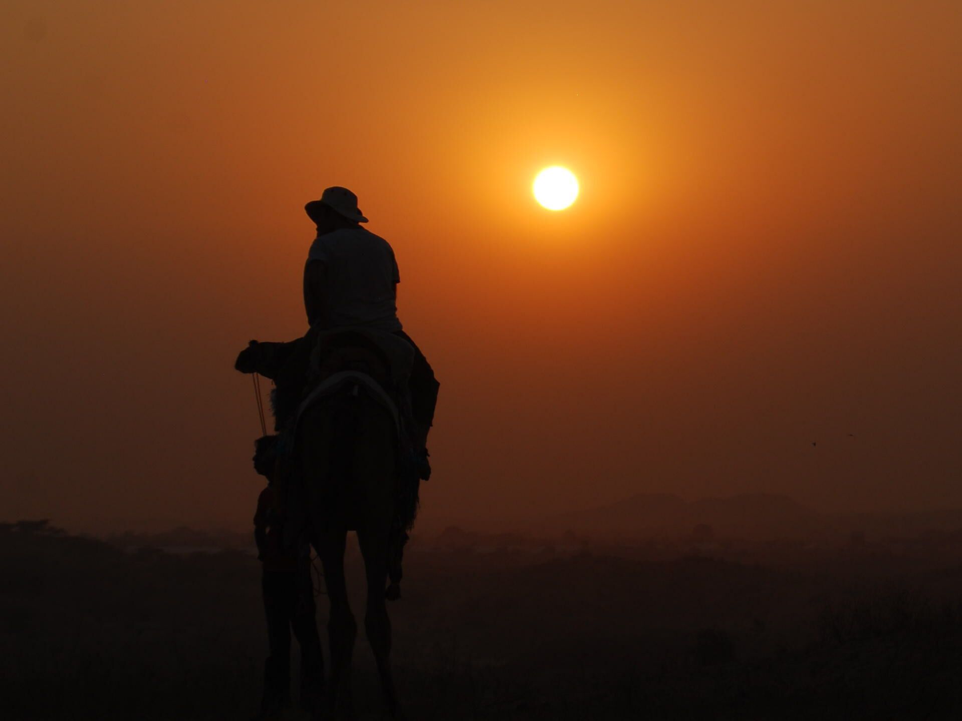 A silhouette of a person riding a horse against a sunset.