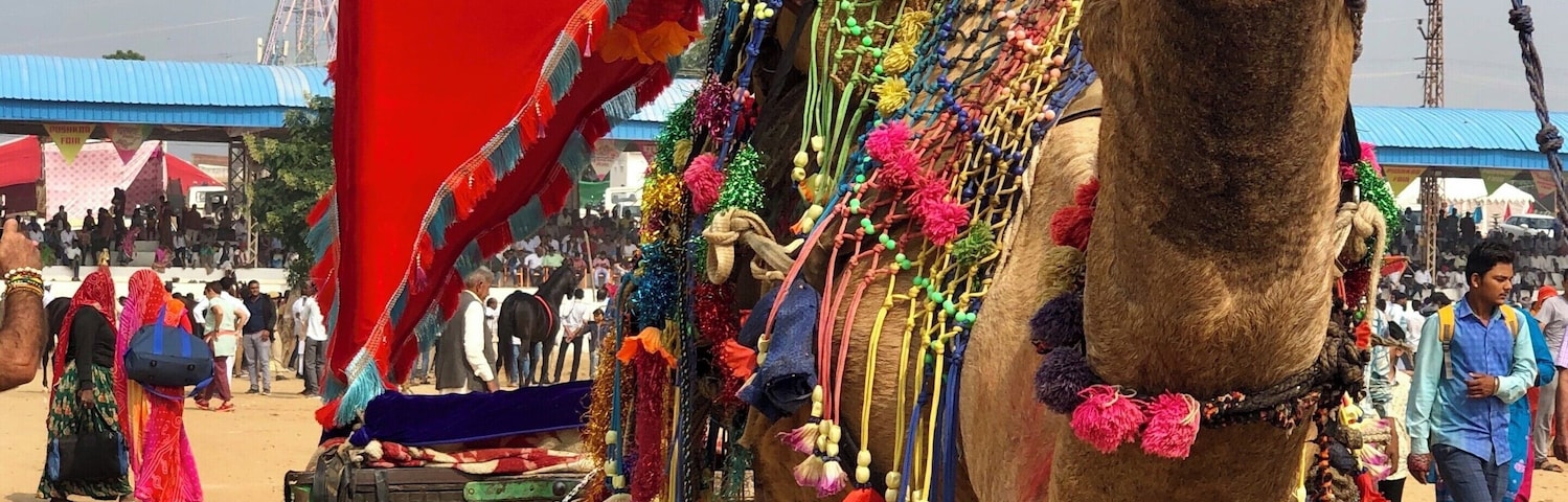 Un cammello decorato con un baldacchino rosso e passamaneria colorata, in piedi in una zona sabbiosa con persone sullo sfondo.