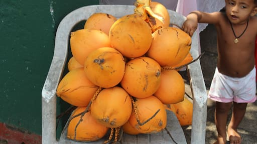 Boy with king coconuts at roadside, Kalutara, Sri Lanka. King coconuts or thembili are sweeter than normal coconuts and can also be used in ayurveda. We visited the island of Sri Lanka in 2017.