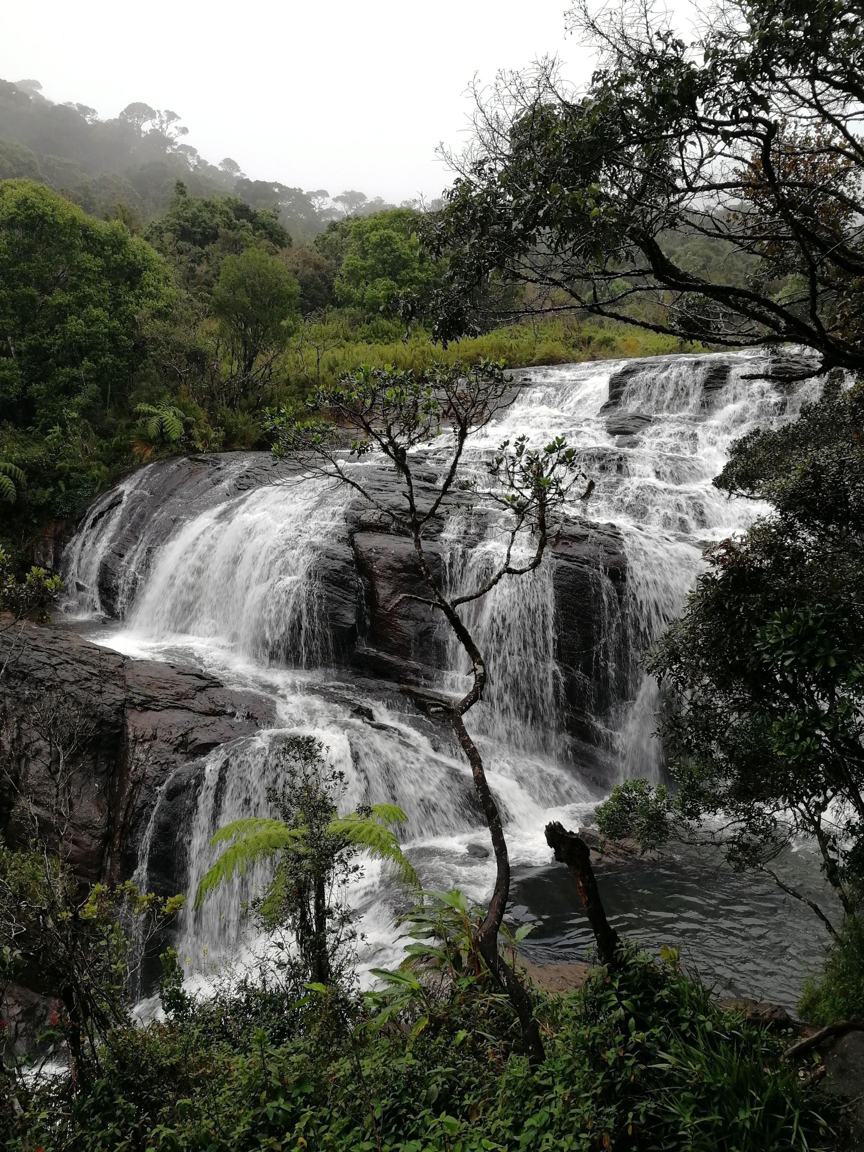 Baker's Falls in Horton Plains NP. Entrance fee to the NP is a bit pricey though. 