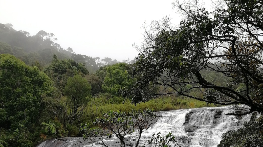 Baker's Falls in Horton Plains NP. Entrance fee to the NP is a bit pricey though.