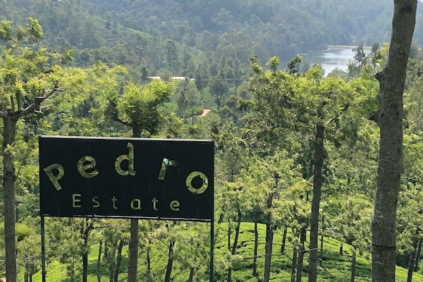 For 200 rupees you can have a tour of the tea factory, a cup of tea and walk down between the tea plants. 👍