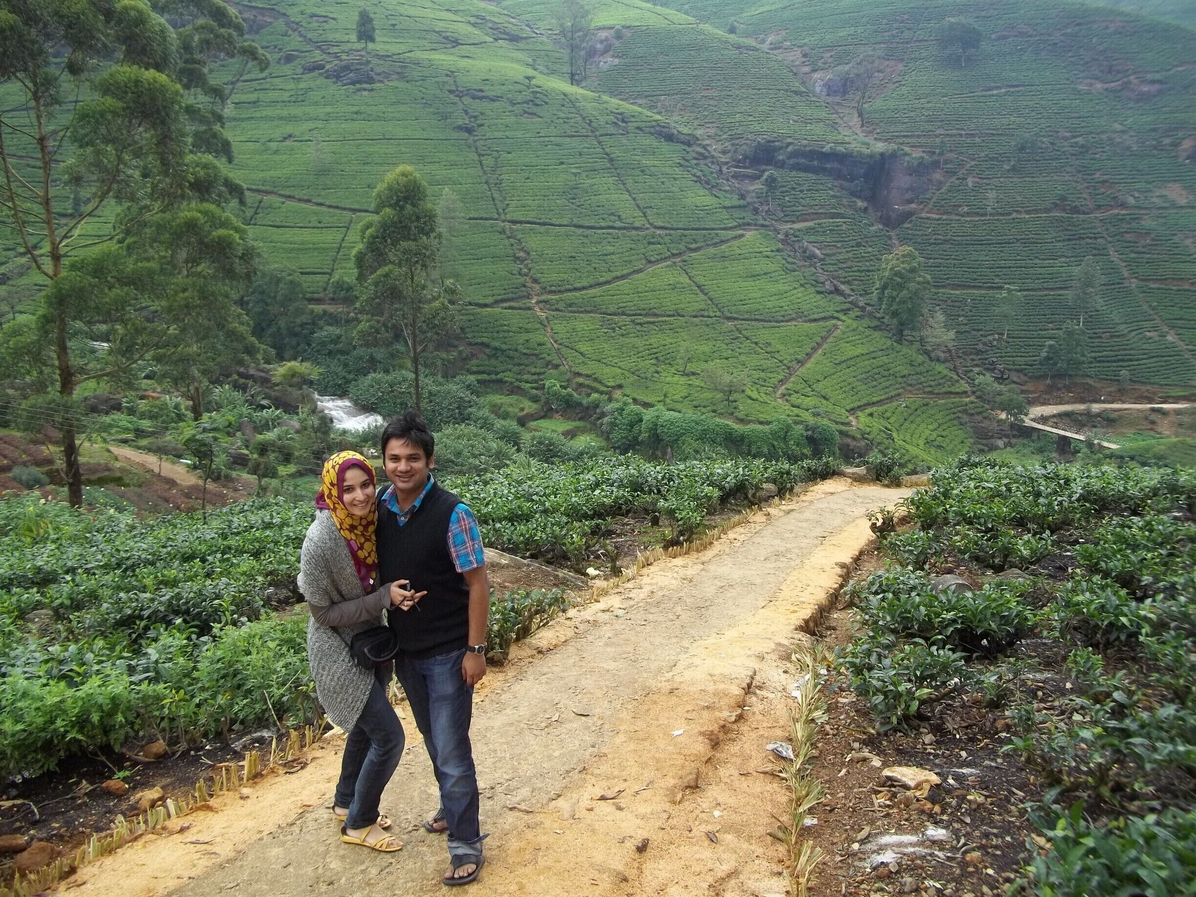 Fine looking Tea fields on the way to Nuwara Eliya, the valleys filled with clouds and occasional rain showers make the soothing journey memorable.