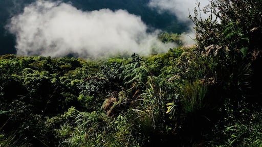 A magnificent walk through Horton Plains to Worlds End. You need to get there EARLY!!! (5am) for the best chance to see the view.