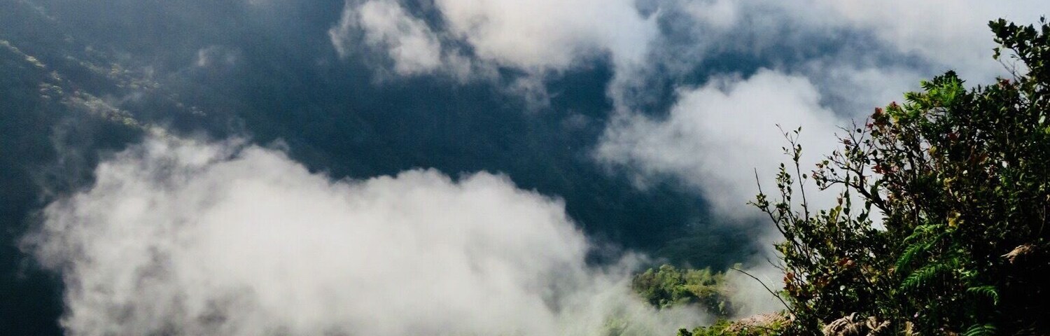 A magnificent walk through Horton Plains to Worlds End. You need to get there EARLY!!! (5am) for the best chance to see the view.