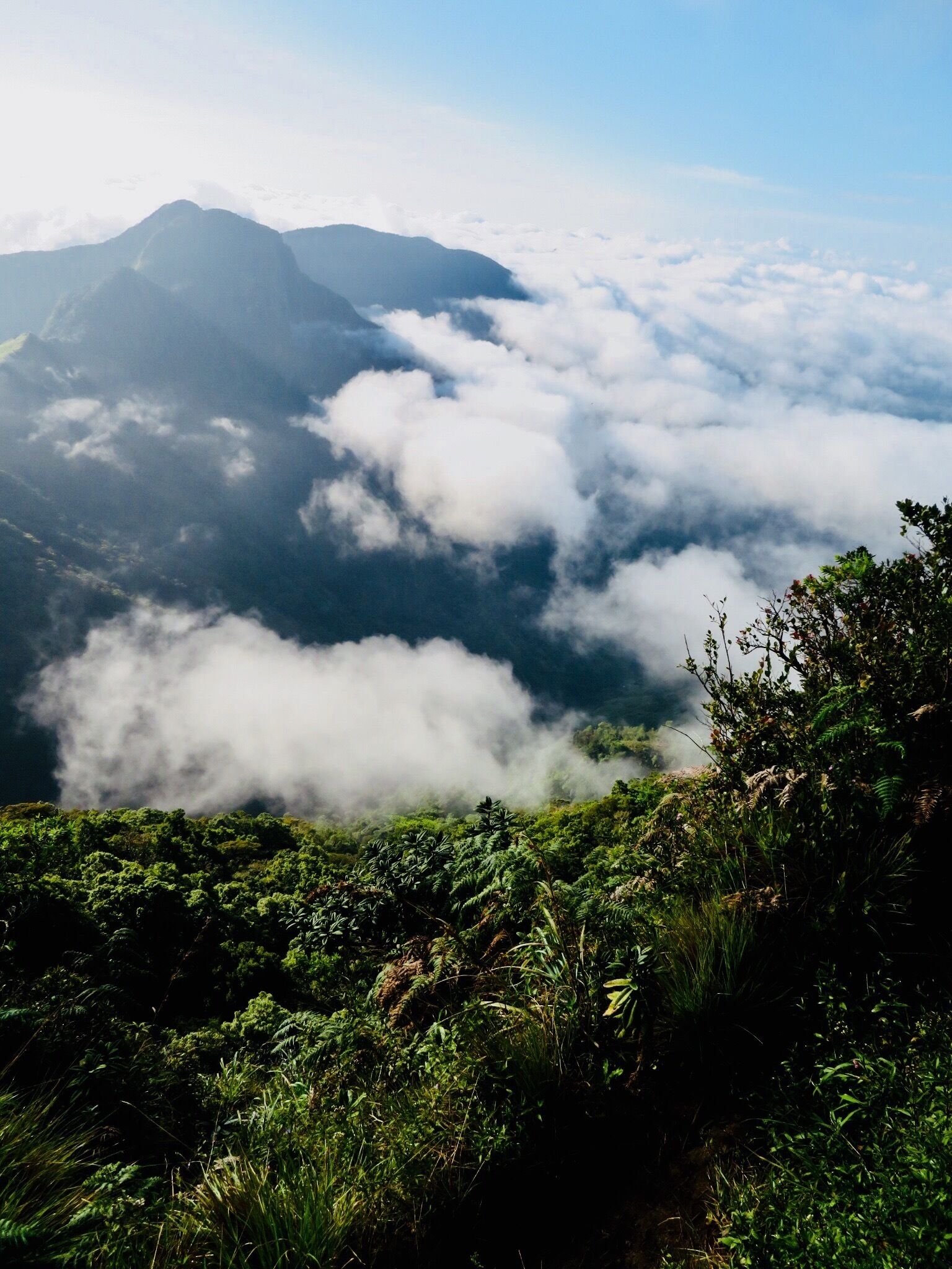 A mountainous landscape with lush greenery and clouds at the base of the mountains.