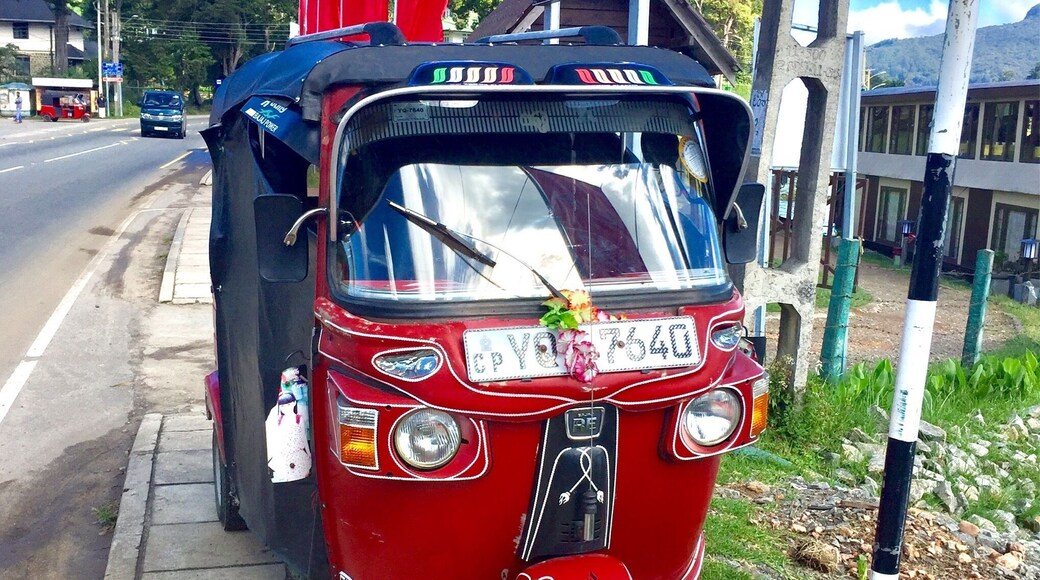 TukTuk public transportation in SriLanka parked near Gregory Lake in Nuwara Eliya.