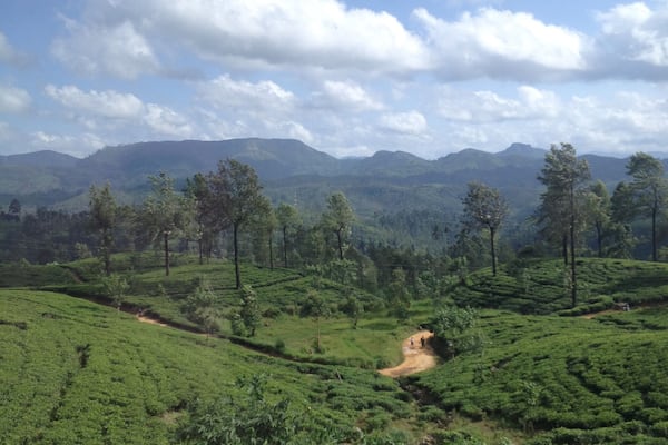 A beautiful train journey through the rolling hills of Sri Lanka's enormous tea plantations. I took this train ride from Nuwara Eliya to Ella which took about 3 hours, and less than 300 rupees- third class is worth the mild discomfort for the people you meet. And Ella is definitely worth a trip- stunning views and hikes up to Ella Rock and Little Adams Peak.