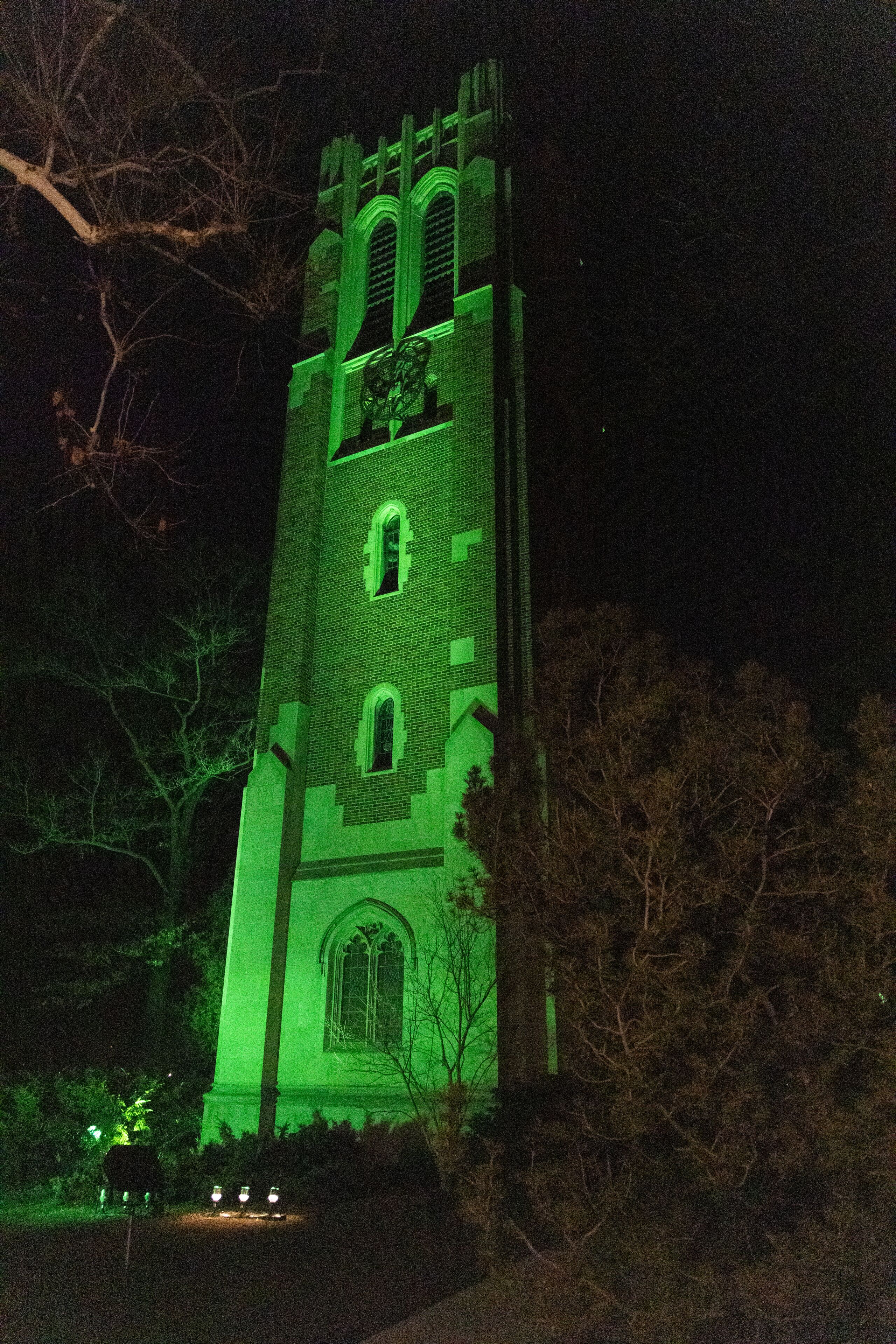 Beaumont Tower at night lit in green on the campus of Michigan State University in East Lansing, Michigan.