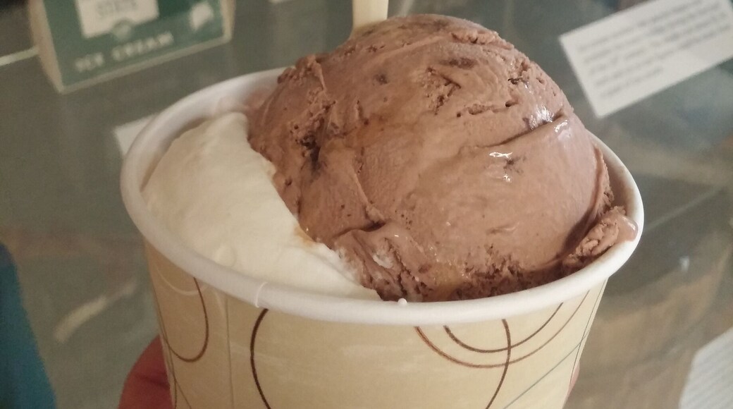 A scoop of Scarlet Knight Delight and a scoop of Dantonio's Double Fudge Fake from the famous MSU dairy store.