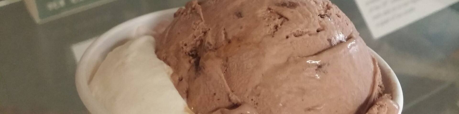 A scoop of Scarlet Knight Delight and a scoop of Dantonio's Double Fudge Fake from the famous MSU dairy store.