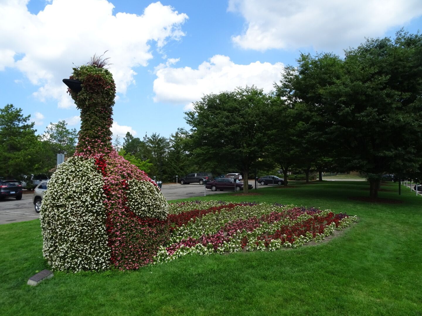 Wilbur the peacock, a giant planted topiary bird, makes his home in the front entrance of the MSU horticulture gardens.