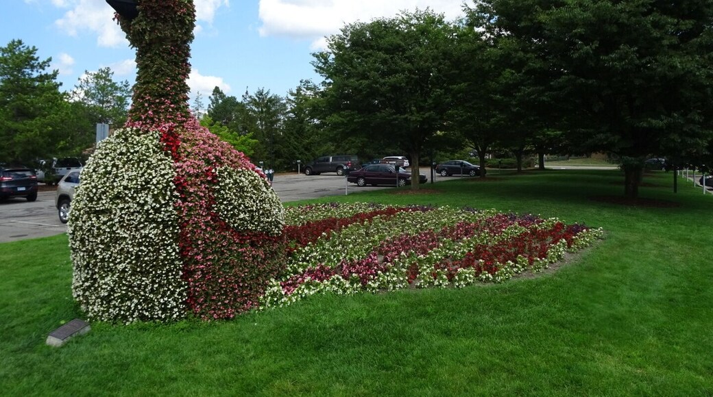 Wilbur the peacock, a giant planted topiary bird, makes his home in the front entrance of the MSU horticulture gardens.