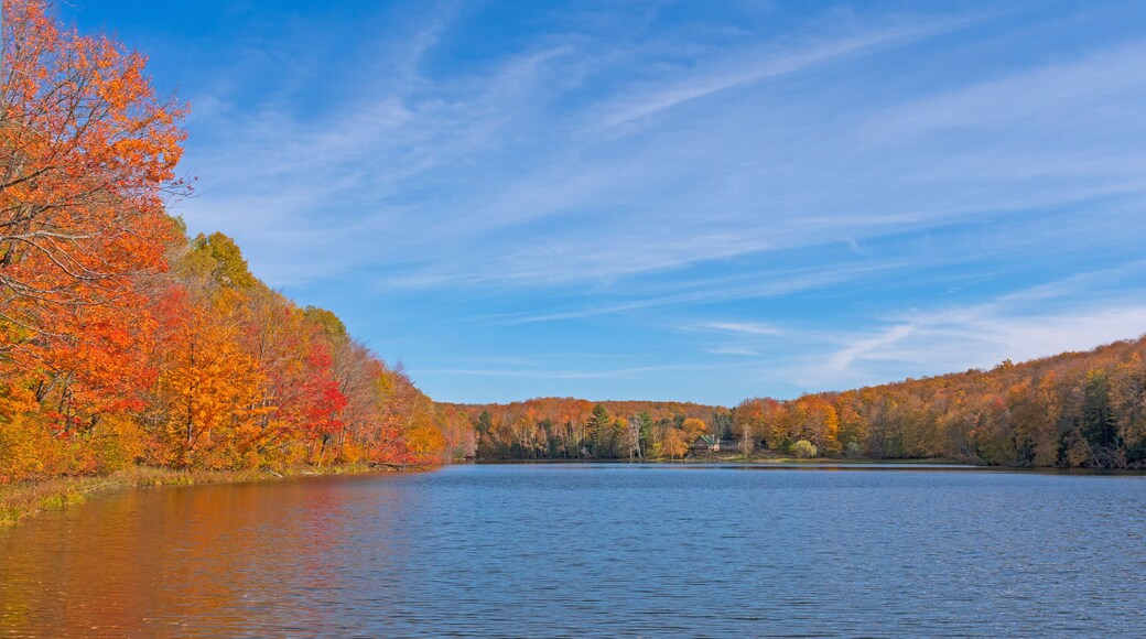 Calm Lake on a Sunny Autumn Day