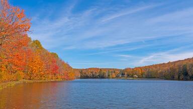 Calm Lake on a Sunny Autumn Day