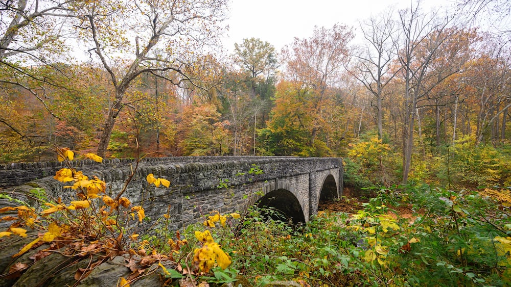 Wissahicken Valley Park during the Fall of 2023