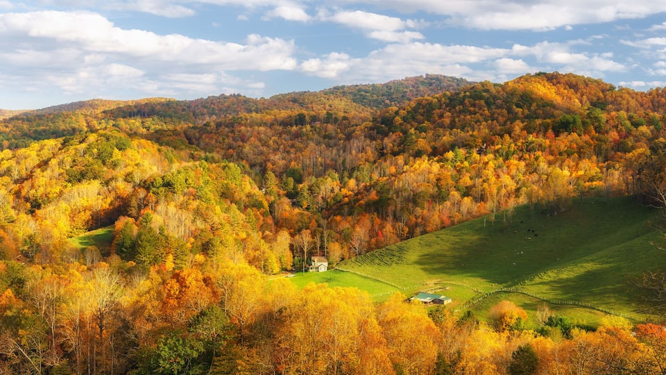A valley with autumn-colored trees, a small house, and rolling hills.