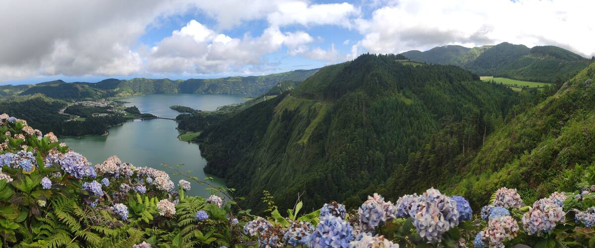 A mountainous landscape with a lake, dense greenery, and hydrangea flowers.