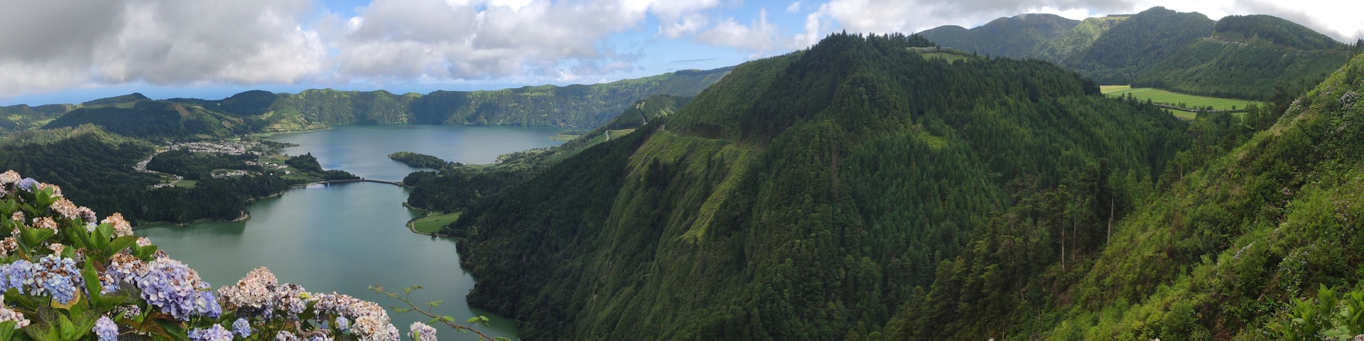 A mountainous landscape with a lake, dense greenery, and hydrangea flowers.