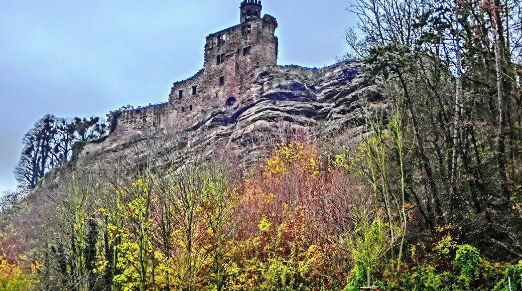 Burg Hardenberg (Nörten-Hardenberg)Die Burg wurde durch das Erzbistum Mainz gegründet, um zwei Handelswege zu überwachen. Um 1101 wurde die befestigte Anlage erstmals als "Vestes Haus" beurkundet.