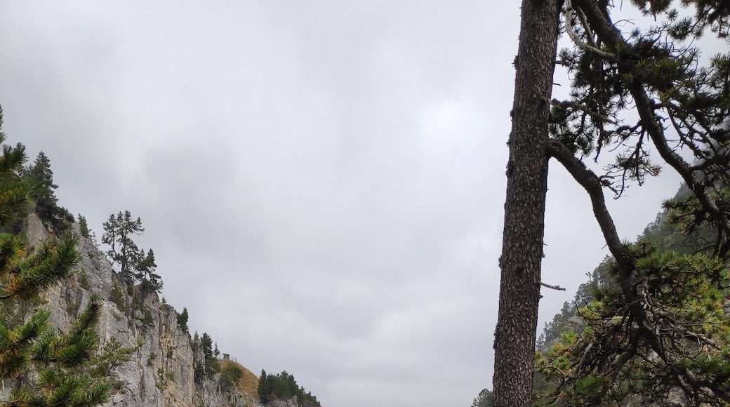 The longest Tibetan Bridge in the world!
