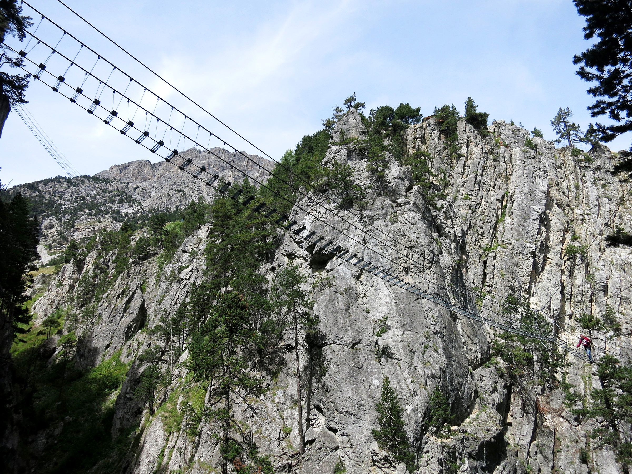 A rocky mountain with a suspension bridge and dense pine trees.