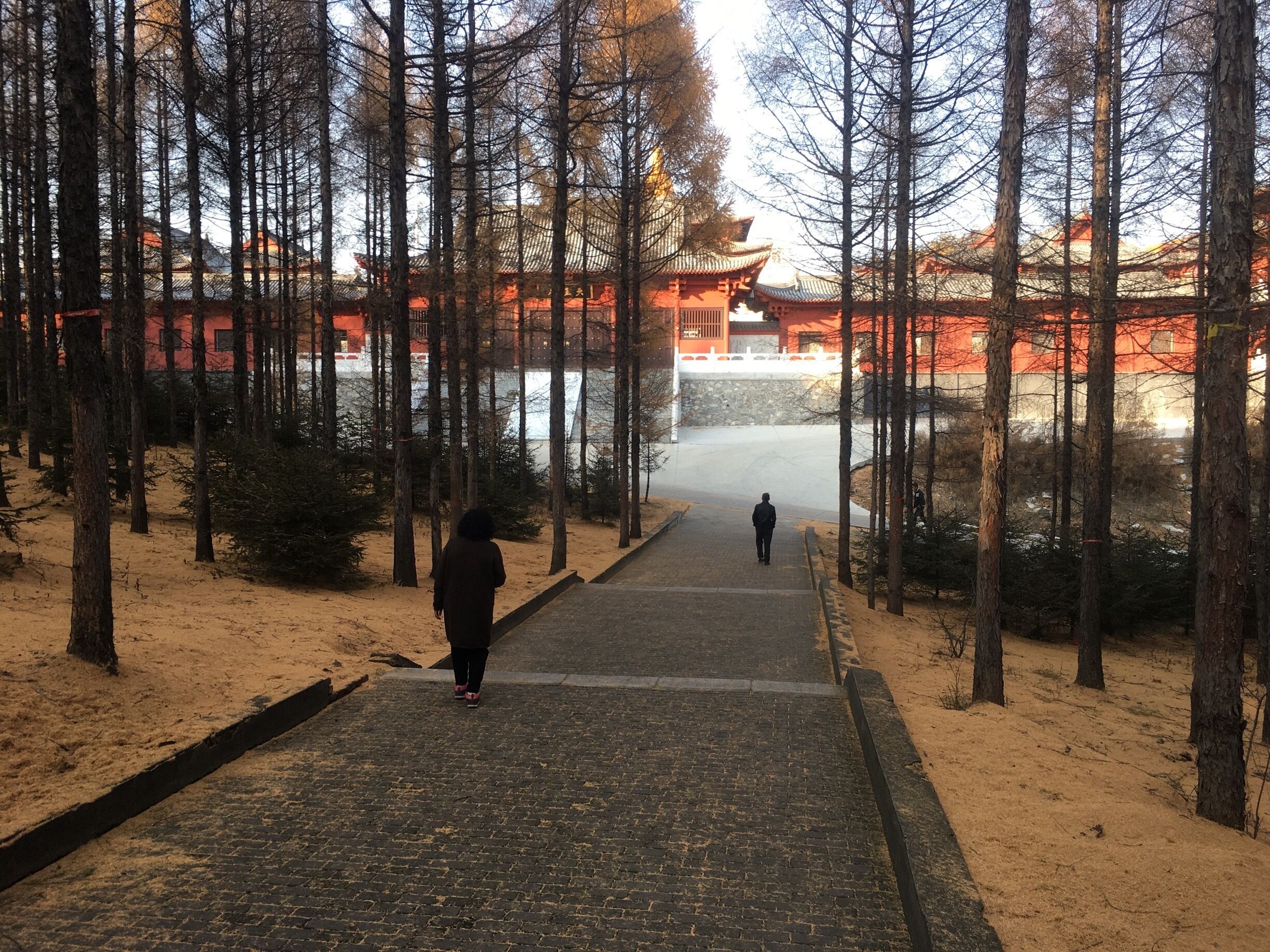 Through the forest to the temple