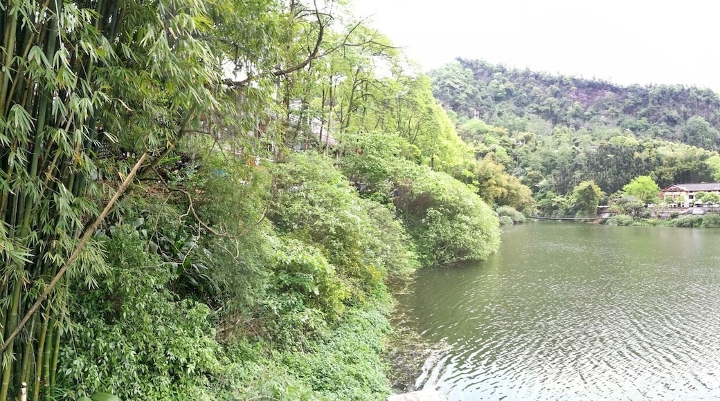 This section of the walk from Wannian Temple to Wuxiangang Bus Station is the flattest, and probably the easiest. It offers stunning panoramas over the river, but in other places reveals just how high in the mountains you still are.