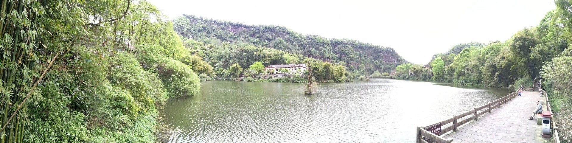 Un río rodeado de exuberante vegetación y un puente de madera.