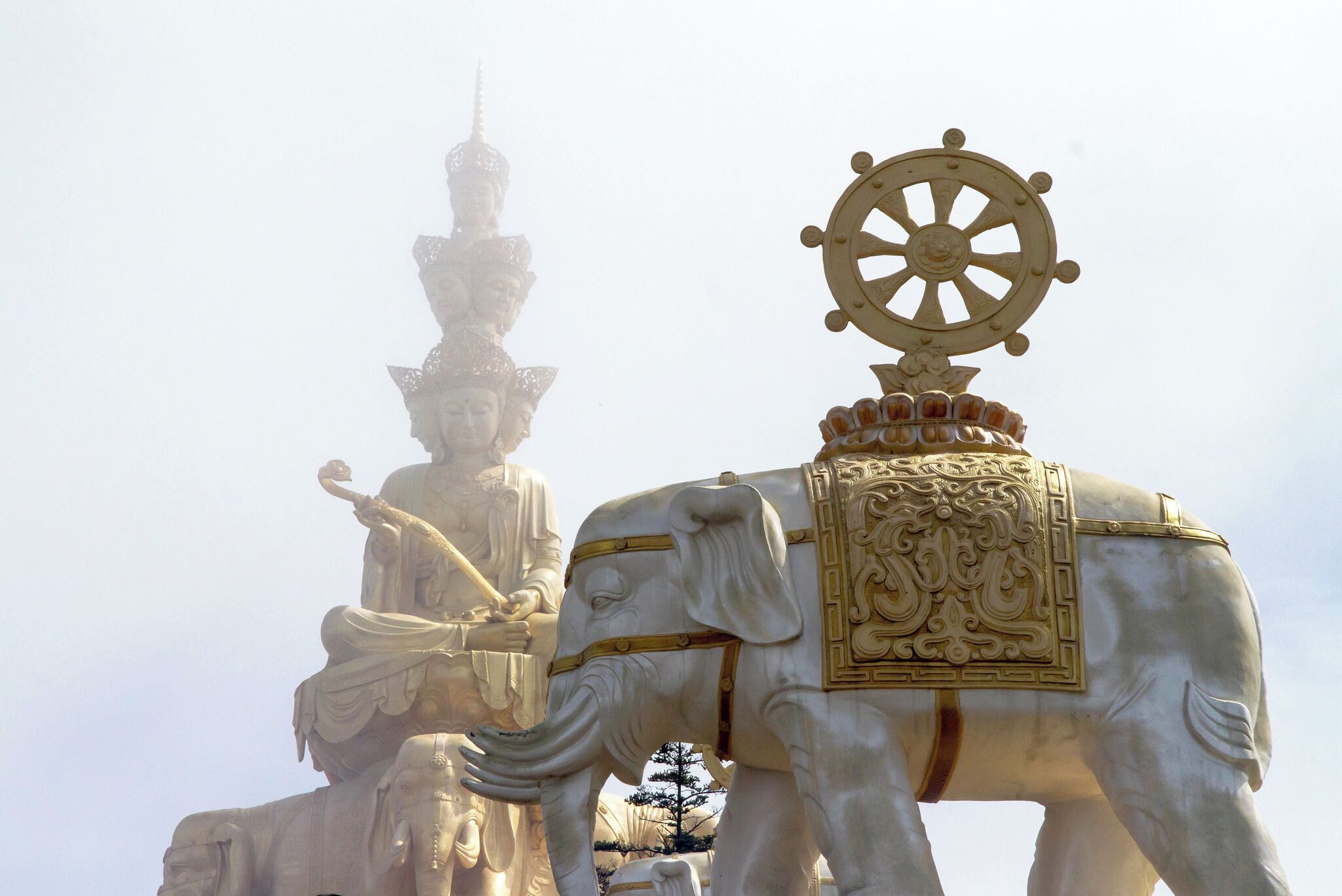 It was an experience to walk up to the Golden Summit and I would highly recommend it. The walk up uses well-designed paths with gradual stairs. We took the cable car up and then walked for a little over 1 km to the Golden Summit Temple.

We arrived at a very rare clear moment where you could view out onto blue skies with clouds below, but it didn't take long for the fog to arrive and the world to completely dissappear around you.  Actually made for a very cool moody environment so was quite happy to get to experience both.

#LikeALocal