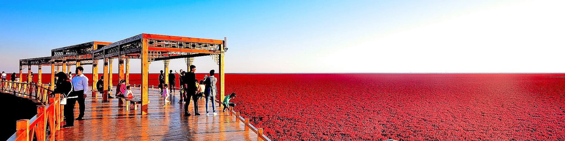 #RedBeach in Panjin,is famous for its landscape featuring the red plant and based the biggest wetland in the world.
https://twitter.com/Beautifulgx