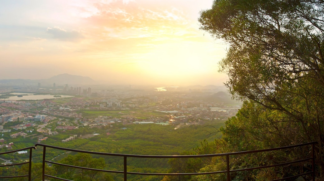 city view during sunset