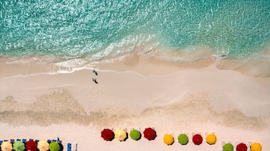 Vista aérea de una playa con aguas turquesas, una orilla arenosa y sombrillas de colores alineadas a lo largo de la costa.