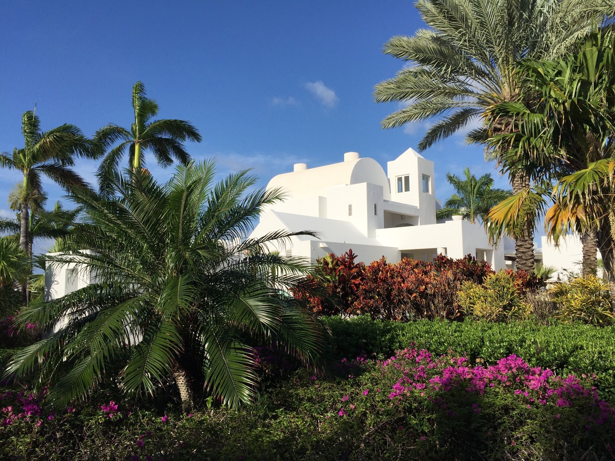 The only golf course on Anguilla is at the CuisinArt Golf Resort & Spa. An 18 Hole Greg Norman Signature Design Championship Course. Not too shabby ⛳️👍