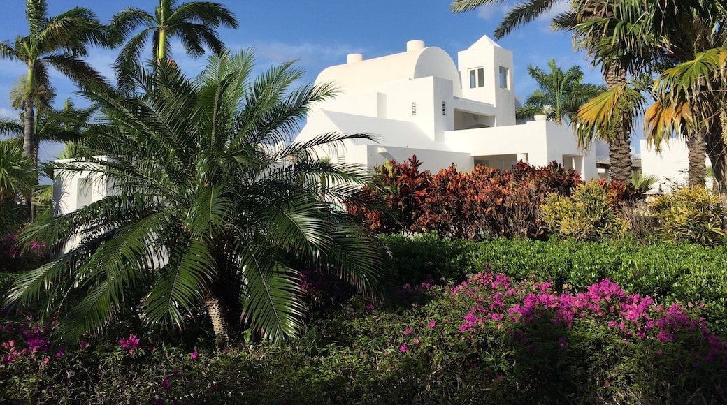 The only golf course on Anguilla is at the CuisinArt Golf Resort & Spa. An 18 Hole Greg Norman Signature Design Championship Course. Not too shabby ⛳️👍