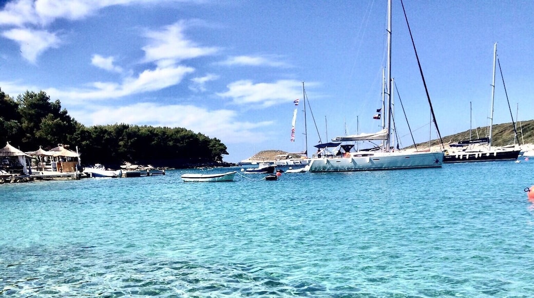 Palmizana, Hvar, Croatia. This place has the most beautiful water I've ever seen.