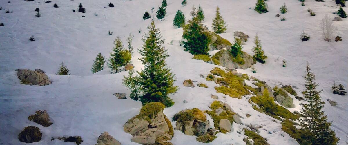 Following in the footsteps of its famous sister bar in Val d'Isere, this apres ski bar has become a popular place to party on the slopes since opening in 2012. Come and enjoy #LifeAtExpedia