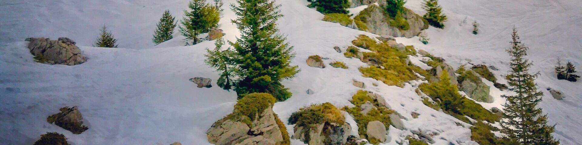 Following in the footsteps of its famous sister bar in Val d'Isere, this apres ski bar has become a popular place to party on the slopes since opening in 2012. Come and enjoy #LifeAtExpedia