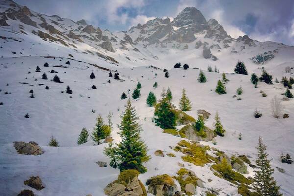 Following in the footsteps of its famous sister bar in Val d'Isere, this apres ski bar has become a popular place to party on the slopes since opening in 2012. Come and enjoy #LifeAtExpedia
