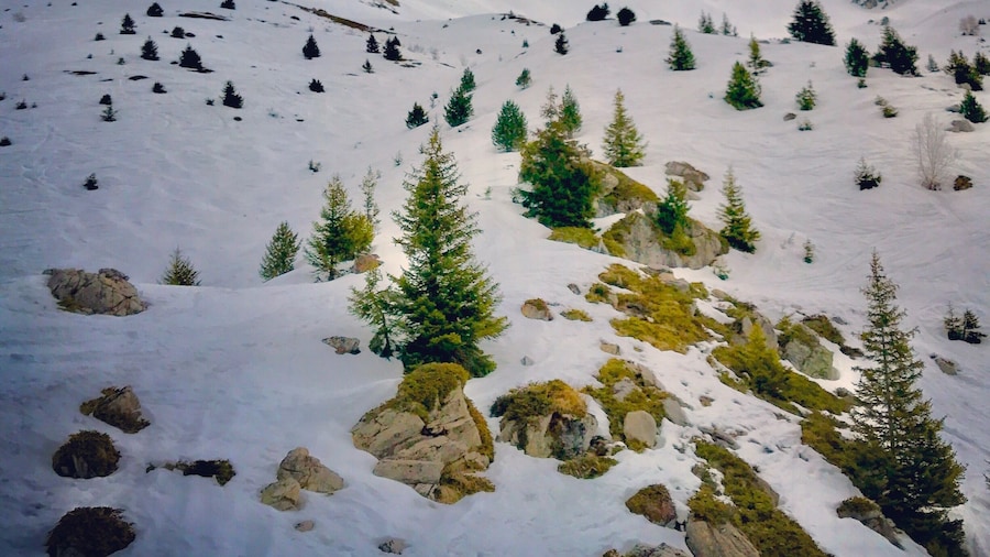 Following in the footsteps of its famous sister bar in Val d'Isere, this apres ski bar has become a popular place to party on the slopes since opening in 2012. Come and enjoy #LifeAtExpedia