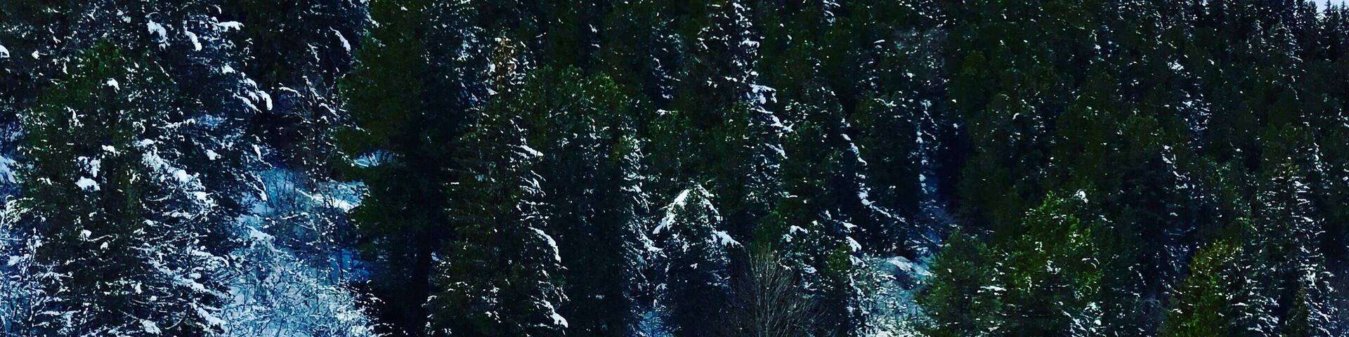 There are plenty of reasons to love Méribel, not least for its pretty, chalet-style architecture, wooded surroundings and friendly, village atmosphere. But the prime reason is its central position within France’s huge Trois Vallées ski area. #LifeAtExpedia