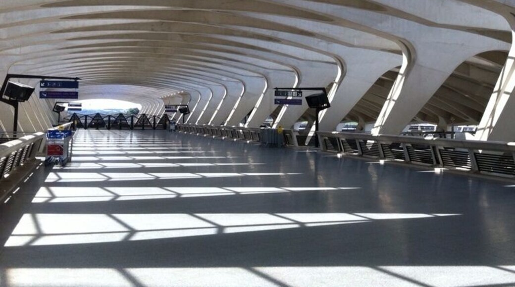 Entrance to Lyon Airport