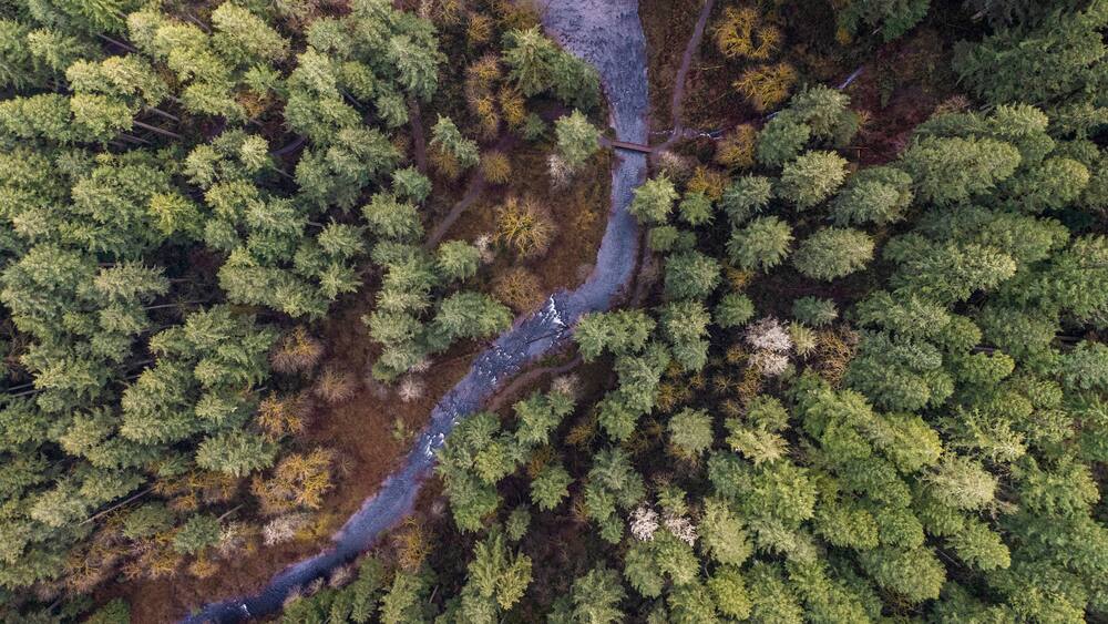 Aerial view of Chemult Spirit Creek Falls in Frenchie Falls river park, Oregon, United States.