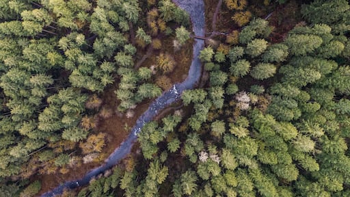 Aerial view of Chemult Spirit Creek Falls in Frenchie Falls river park, Oregon, United States.