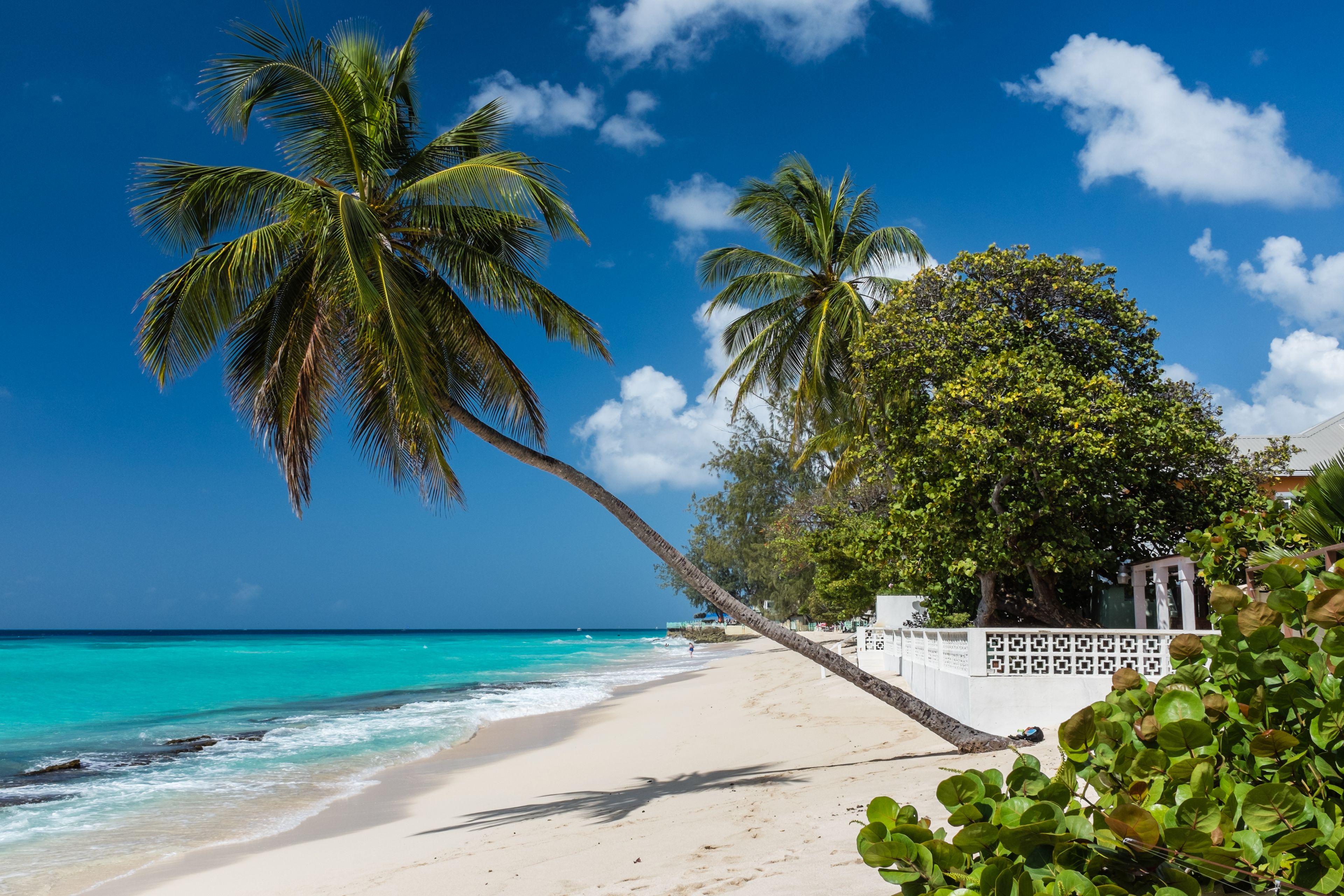 A beach with clear turquoise waters, palm trees, and a white fence.