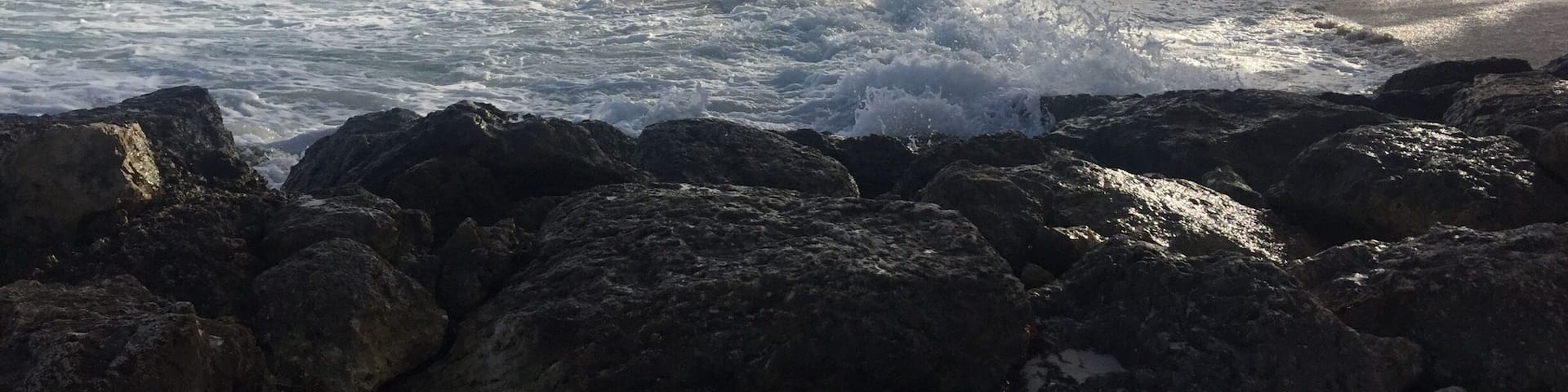 #barbados #sea #palmtrees #caribbean