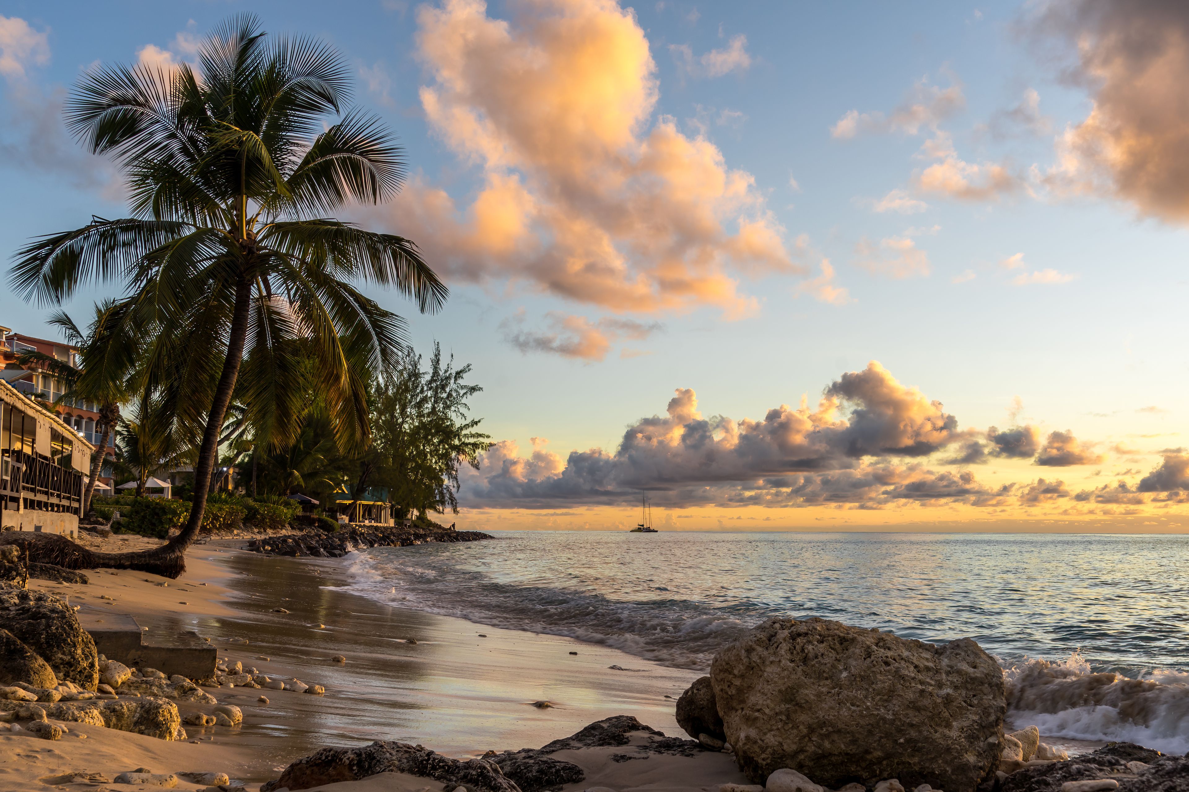 Barbados Tropical sandy beach with palm trees and ocean at sunset
